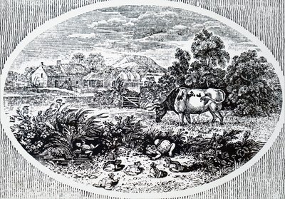 Hovedstykke af Thomas Bewick af Unbekannt