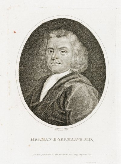 Herman Boerhaave, hollandsk læge, kemiker og botaniker, begyndelsen af det 18. århundrede af Unbekannt