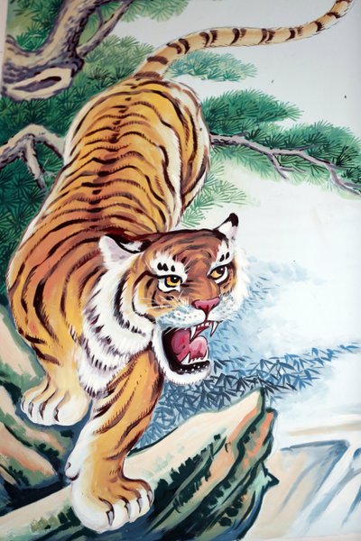 Hoi Tuong Te Nguoi Hoa buddistiske kinesiske tempel. Tiger maleri. Phu Quoc. Vietnam. af Unbekannt