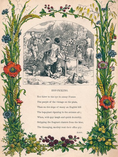 Humleplukning, c1900 af Unbekannt