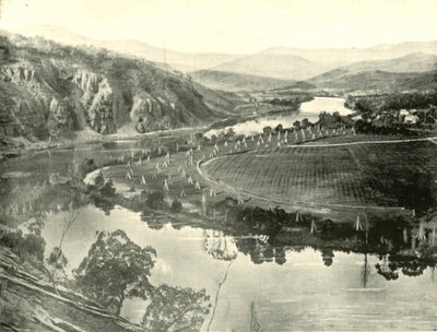 Humlehaver i Tasmanien, 1901. af Unbekannt