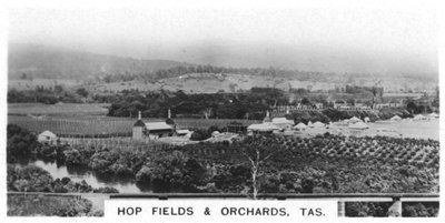 Humlemarker og frugtplantager, Tasmanien, Australien, 1928 af Unbekannt