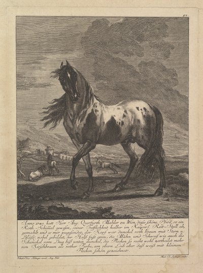 Hest, 1700-tallet. af Unbekannt