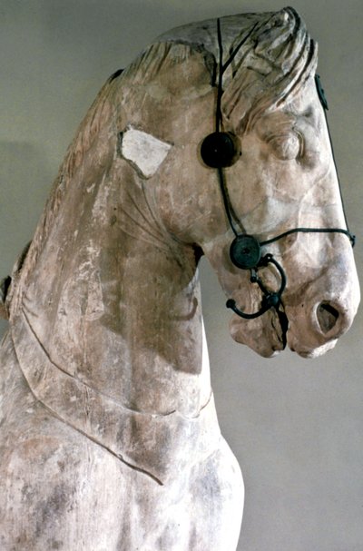 Hest, Quadriga af Mausoleet ved Halikarnassos, 350 f.Kr af Unbekannt