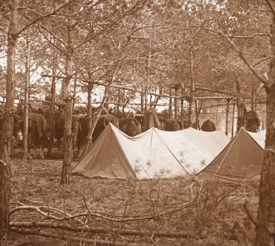 Horses billet, Suippes, Nordfrankrig, c1914-c1918 af Unbekannt