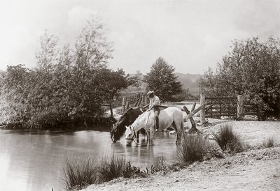 "Heste drikker ved dam", omkring 1890