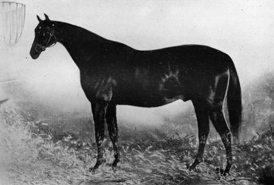 Gæstfrihed, 1800-tallet, 1911 af Unbekannt