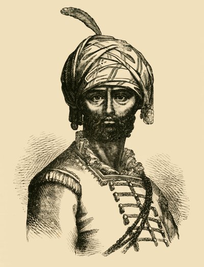 Hyder Ali, c1750, 1890. af Unbekannt