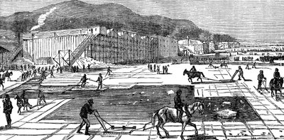 Issamling på Hudson-floden nær New York, USA, 1875 af Unbekannt