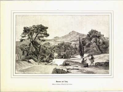 Illustration taget fra bogen Variegated travel pictures af Jerichau-Baumann, Elisabeth og udgivet på Forlagsbureauet (København, 1881) af Unbekannt