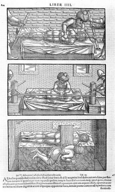 Illustration fra Avicenna, 1556 af Unbekannt