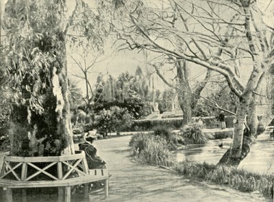 I den botaniske have, Adelaide, 1901. af Unbekannt