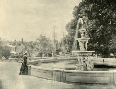 I den botaniske have, Adelaide, 1901. af Unbekannt