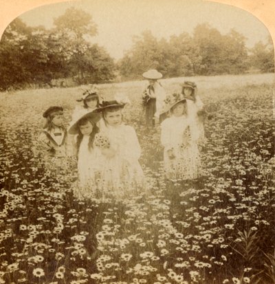 In the Daisy Field: Sweet Flowret of the Rural Glade, 1896. af Unbekannt