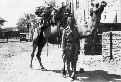 Indisk kameltrooper, Bagdad, 1918 af Unbekannt