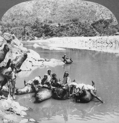 Oppustede okseskind brugt som færgebåde på Sutlej-floden, Punjab, Indien, c1900-tallet af Unbekannt