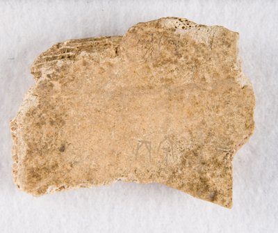 Indskrevet knoglefragment orakelknogle, Late Shang-dynastiet, ca. 1300-1050 fvt. af Unbekannt