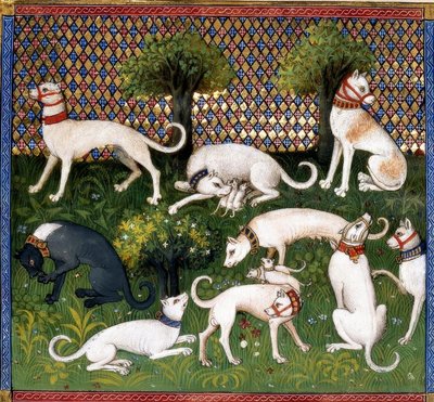 Jagdhunde (Alan) / Jagtens bog af Unbekannt