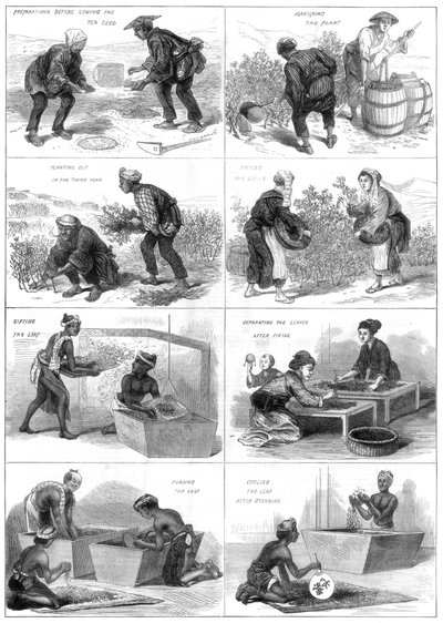 Japansk teproduktion, 1874 af Unbekannt