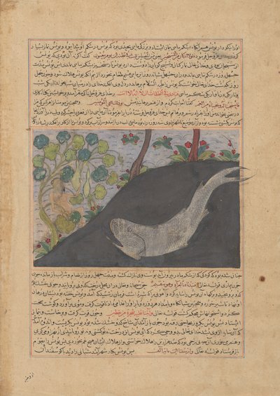 Jonah and the Whale, Folio fra et Majma