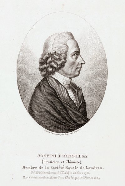 Joseph Priestley, engelsk-amerikansk teolog og kemiker, c 1780 af Unbekannt