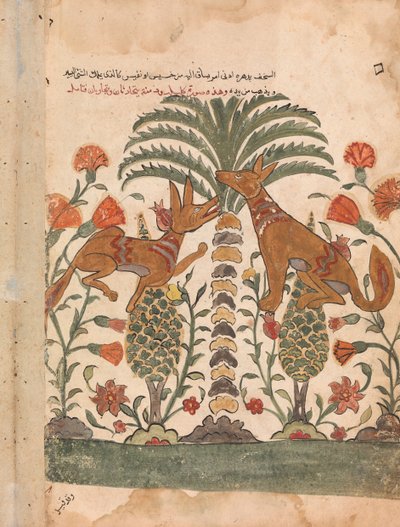 Kalila Upraiding Dimna, Folio fra en Kalila wa Dimna, 1700-tallet. af Unbekannt
