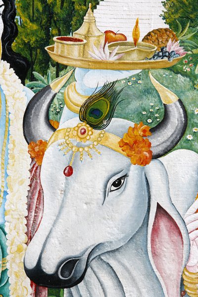 Kamadhenu Sachred Kau, Kathandum, Nepal af Unbekannt