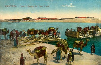 Kantara - Kameler passerer Suez-kanalen, c1918-c1939. af Unbekannt
