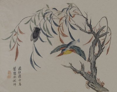 Kingfisher, Cicada og Piletræ, 1800-tallet. af Unbekannt