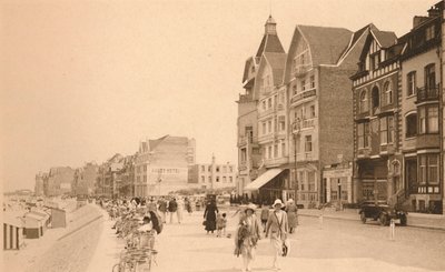 La Digue, Promenade, c1900. af Unbekannt