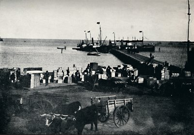 Landingssted, Punta Arenas, 1911 af Unbekannt