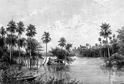 Las Palmes Lagunas, nær mundingen af ​​Pilcomayo, 1895 af Unbekannt