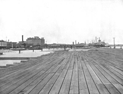 Levee and Steamboat Landing, New Orleans, Louisiana, USA, c1900. af Unbekannt