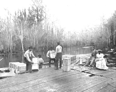 Indlæser appelsiner på Ocklawaha-floden, Florida, USA, c1900. af Unbekannt
