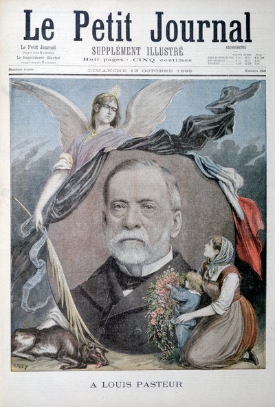 Louis Pasteur, fransk kemiker, 1895 af Unbekannt