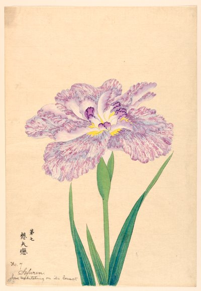 Love Meditating on Its Consort (Sofuren), nr. 7, ca. 1910 af Unbekannt