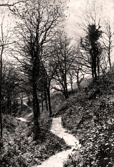 Lovers Lane, Fairlight, Hastings, Sussex af Unbekannt