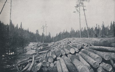 Tømmerarbejde, 1924 af Unbekannt