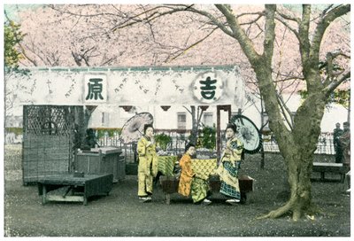 Frokoststand i en offentlig park, Japan, 1904 af Unbekannt