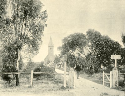 Lutherske kirke, Tanunda, 1901. af Unbekannt