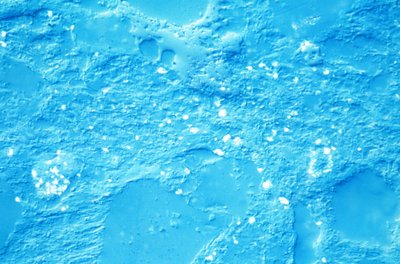 MINERALER, LM Mudstone af Unbekannt