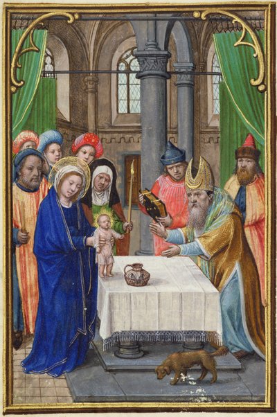 MS.257A Præsentationen i templet, fra en bedebog, begyndelsen af det 16. århundrede (manuskript) af Unbekannt