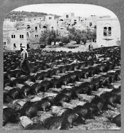 Fremstilling af vinflasker, Hebron, c1900 af Unbekannt