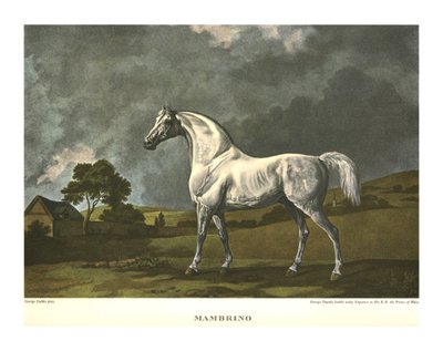 Mambrino, c1779, c1955. af Unbekannt