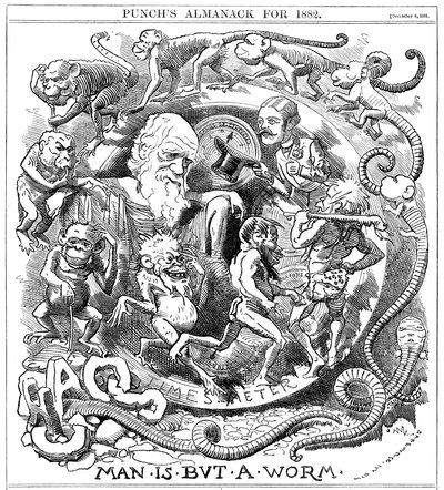 Man is but a Worm, tegneserie fra Punch, der viser udviklingen fra orm til mand, 1881 af Unbekannt