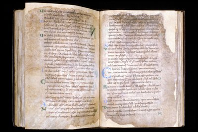 Manche N* 066, City of Mortain, Skat i Saint Evroult kollegiale kirke, evangeliebog fra det 10. århundrede. af Unbekannt