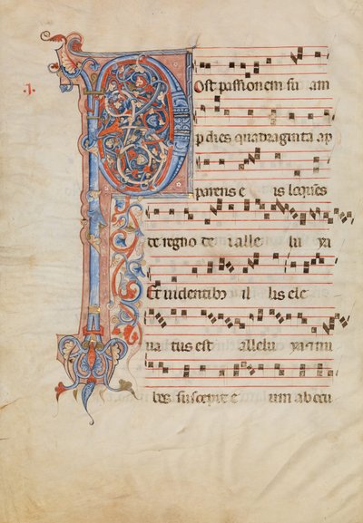 Manuskriptblad med folieret begyndelsesbogstav P, fra et antifonarium, italiensk, ca. 1250-60. af Unbekannt