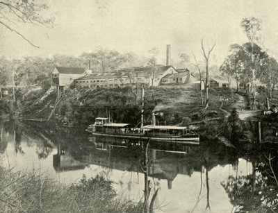 Meat Works, nær Grafton, New South Wales, 1901. af Unbekannt