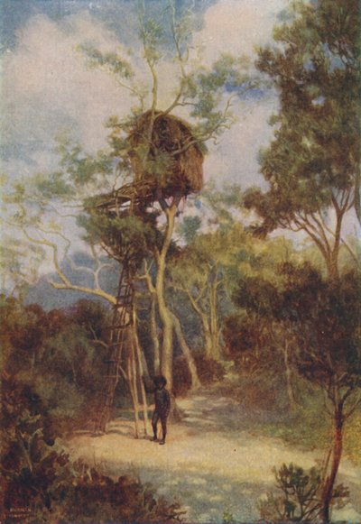 Melanesisches Baumhaus, 1924 von Unbekannt