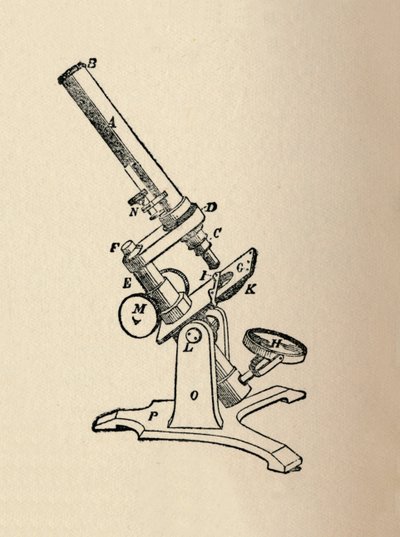 Mikroskop, 1912 af Unbekannt
